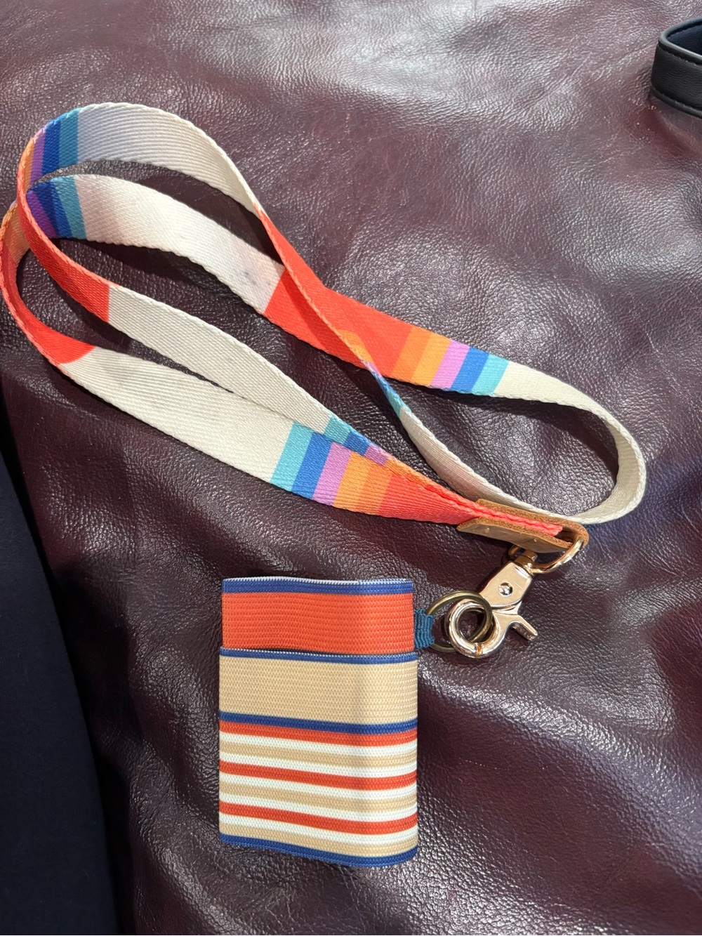 Striped Canvas Lanyard with Matching Card Wallet - Multicolor